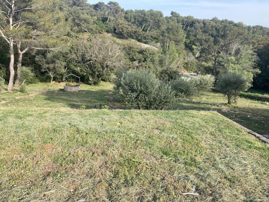 Magnifique Villa De Luxe Au Coeur De La Garrigue Nimes Ngoại thất bức ảnh